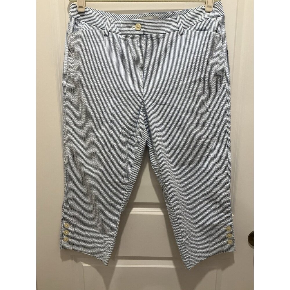 Talbots Crop Pant Size 14 Blue White Striped Front Pockets Faux Back Pockets